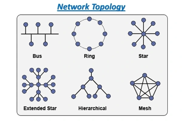 Network Topology