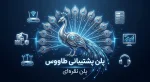 پلن طاووس پلن نقره ای پشتیبانی شبکه و ویپ (VoIP) سیمیا سیستم