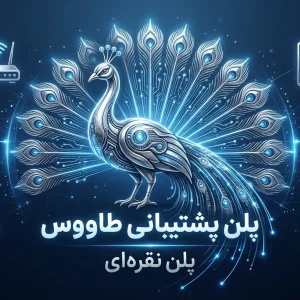 پلن طاووس پلن نقره ای پشتیبانی شبکه و ویپ (VoIP) سیمیا سیستم